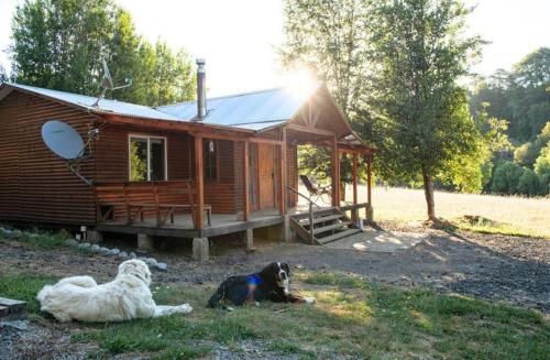 3 bedrooms, 8 beds