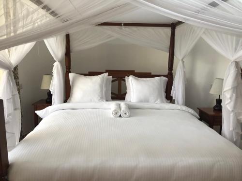 Deluxe Twin Room image 10