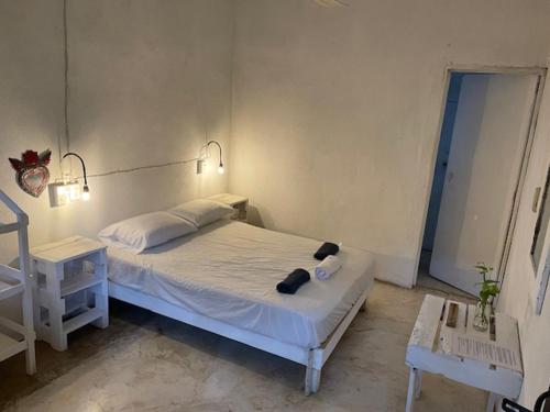 HOSTAL CASA DEL ANGEL 3