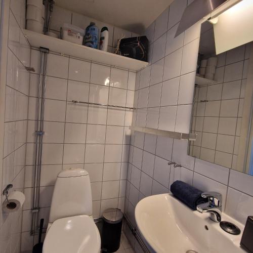Serene 1 bedroom apartment Oslo, Oslo (Foto 10)