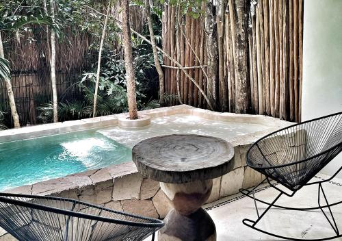 Tropical Room with Plunge Pool and Private Garden image 1