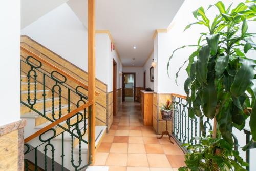 Apartamentos Leonor Carihuela 5