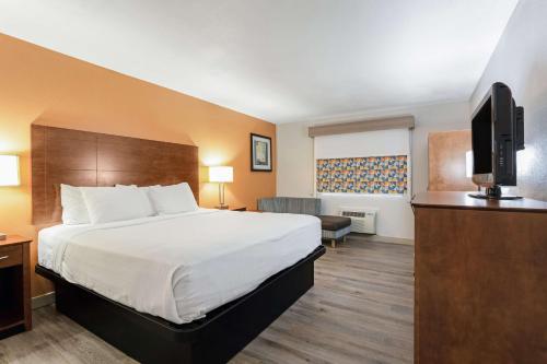 1 king bed