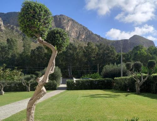 Villa Eagle, Terrasini (photo 5)