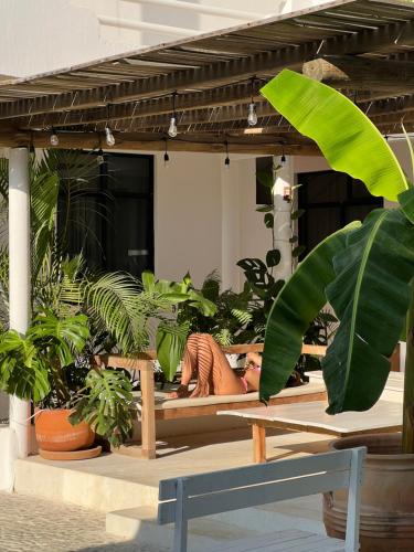 La Punta Rooms La Punta Rooms