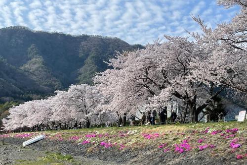 Kawaguchiko Cottage Superba Vista – Fujikawaguchiko, KY