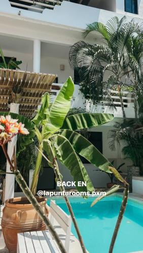 La Punta Rooms La Punta Rooms