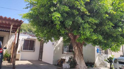 Habitaciónes para chicas in Puerto Vallarta, Mexico
