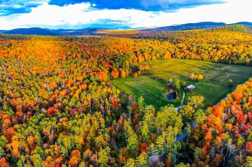 The Stock Farm in Chestertown, USA
