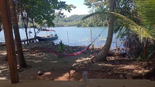 Atracciones, Casa Manatí (Casa Manati) in Livingston