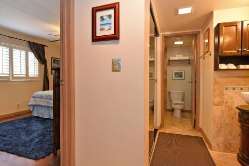 One-Bedroom Apartment image 10