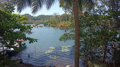 Vistas, Casa Manatí (Casa Manati) in Livingston