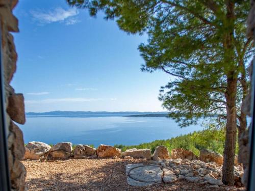 Falcon View Hvar