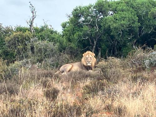 Kudu Ridge Game Lodge