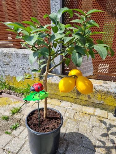 Ospitalità Agricola di Langa - Alloggio Mansardato Vacanze