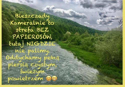 Bieszczady Kameralnie