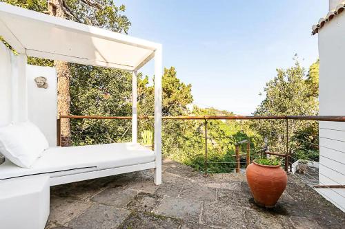 Casa típica canaria en el Parque Rural de Doramas (Casa tipica canaria en el Parque Rural de Doramas) in Teror