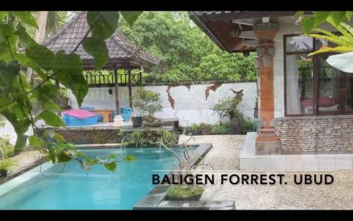 Baligen Forrest
