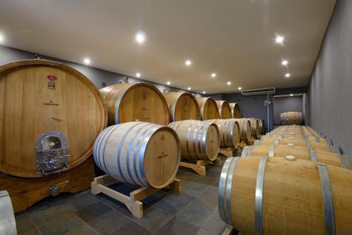 Terra Wylak Winery in Veľké Zálužie