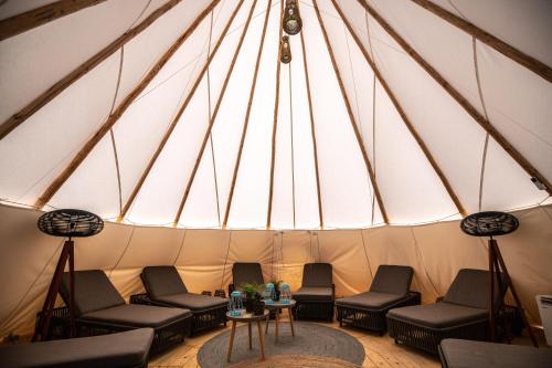 Arena One 99 Glamping - image 4