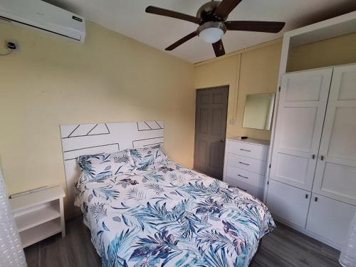 Ackee Green Rental - 2 bedroom 1 bathroom in 羅德尼灣