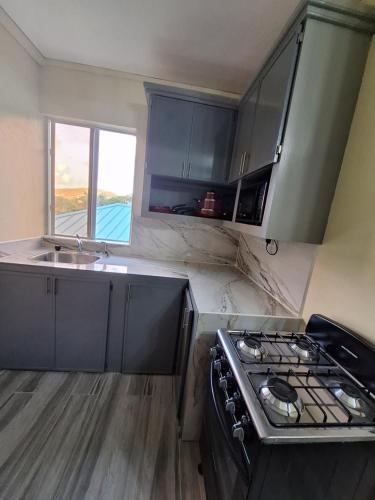 廚房, Ackee Green Rental - 2 bedroom 1 bathroom in 羅德尼灣