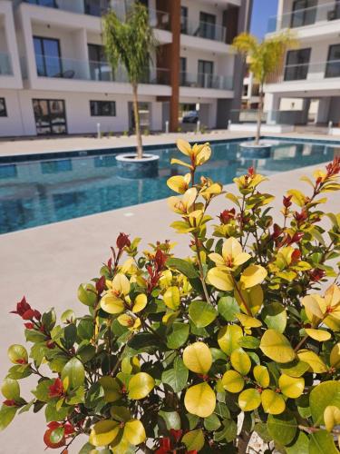 New, Modern Studio, Universal Residences 3