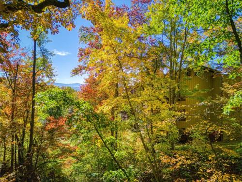 Spectacular View-dog Friendly- Pool-peaceful