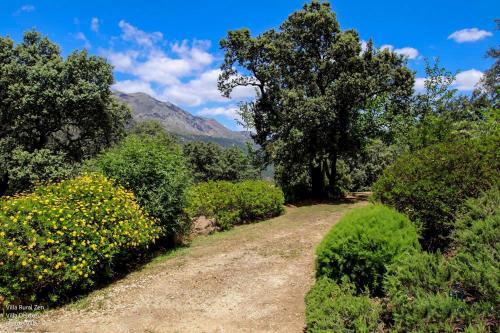 Villa Rural La Torre by Hacienda Alfacara - image 3