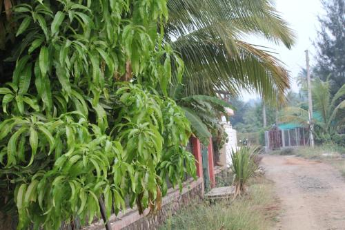 JenJon Holiday Villa - Nagaon, Alibaug