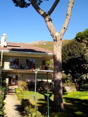 Villa Luisa B&B 4