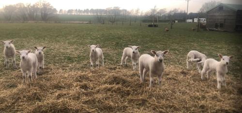 The Farm Burscough - image 2