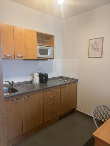 Konyha, Apartmány KiRi (Apartmany KiRi) in Kyjov