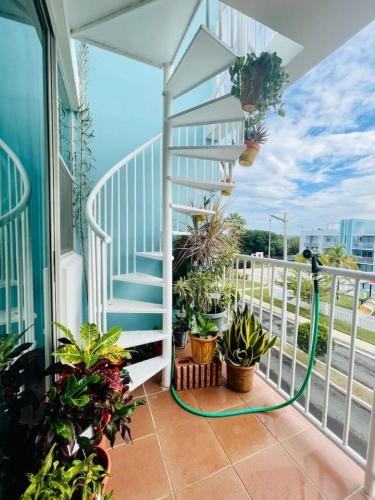 Pothos Beach PH 3BR Apt w Rooftop w Pool Access in Isabela