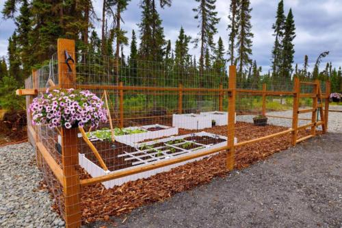 Grayling Getaway, Cabin 1 at Lower Kenai Lodge, Kenai (foto 9)