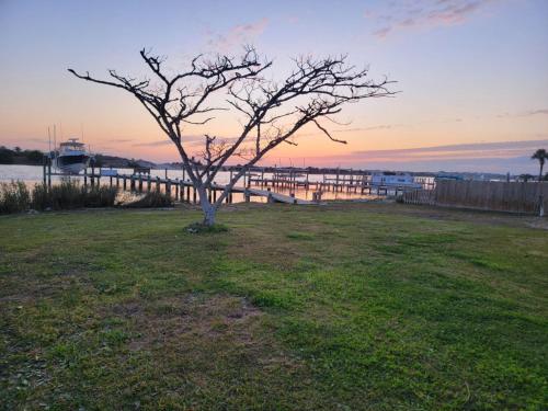 Waterfront home with Private Dock Hot tub and swimming as well as a large fenced backyard in Cedar Point (NC)