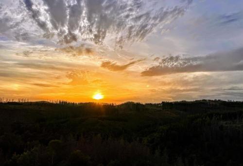 Apartment KY481 im PanoramicHohegeiß - Braunlage