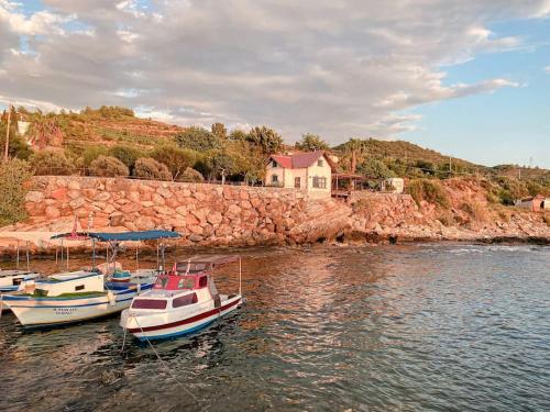 Seafront Isolated Unique House