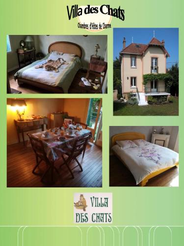 la villa des chats - Chambre d'hôtes - Andrésy