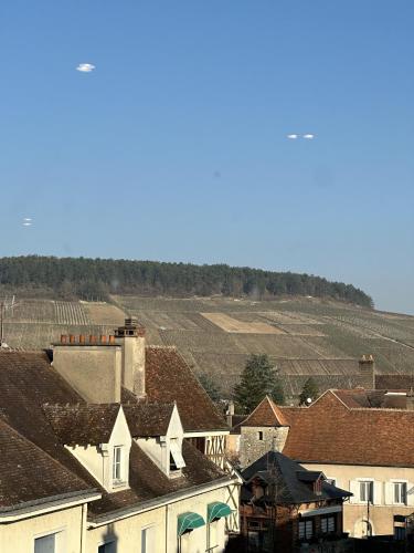 Les Suites Gueguen - Hôtel - Chablis