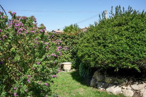 La Taverna dell'Oasi