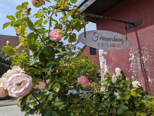 Iekārtas, Entspannte Auszeit mit Terrasse, Bauerngehöft bei Mölln & Ratzeburg (Entspannte Auszeit mit Terrasse, Bauerngehoft bei Molln & Ratzeburg) in Breitenfelde