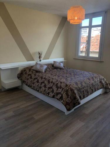 Appartement Laurier Blanc