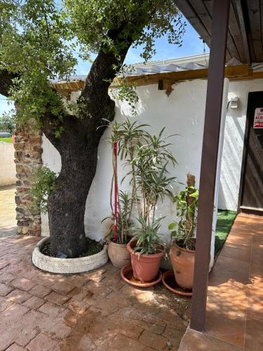 Casa Rural Quejigo con piscina