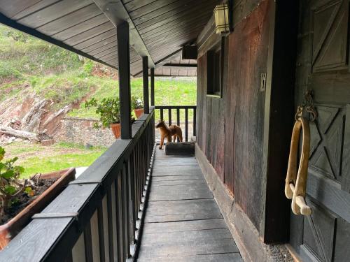 ระเบียง/ชานเรือน, Casa rural en Redes para 4 in เรียวเซโก