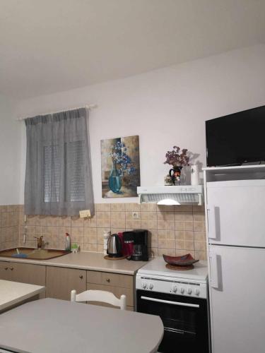 Alkisti's seaside apartments in Potokaki