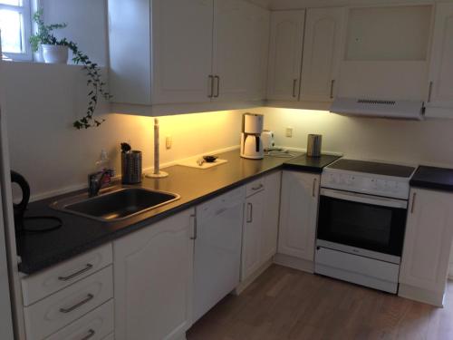 Kitchen, Rane Ladegaard in Elsegarde