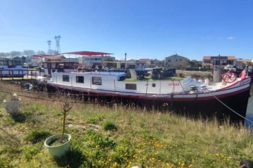 Pretty barge in Aigues-Mortes