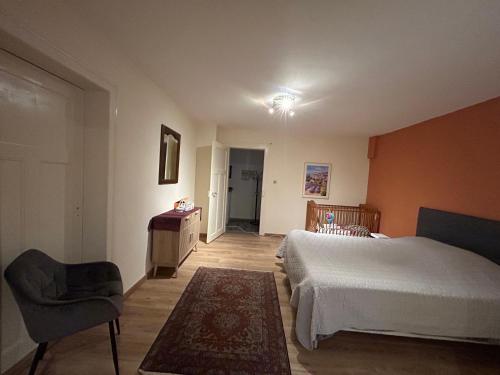 Bel Appartement en RDC proche Strasbourg Nice apartment very near Strasbourg, Štrasburk (fotografie 3)
