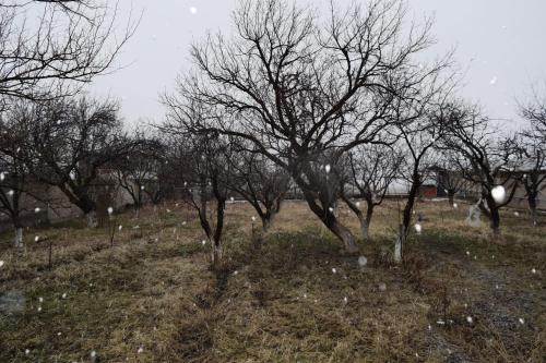 Вила Eco Garden